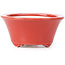 Pot à bonsaï rond rouge par Seifu - 70 x 70 x 35 mm