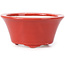 Runde rote Bonsaischale von Seifu - 70 x 70 x 35 mm