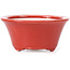 Pot à bonsaï rond rouge par Seifu - 70 x 70 x 35 mm