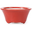 Vaso bonsai rotondo rosso di Seifu - 70 x 70 x 35 mm