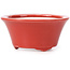 Maceta de bonsái roja redonda de Seifu - 70 x 70 x 35 mm