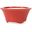 Pot à bonsaï rond rouge par Seifu - 70 x 70 x 35 mm