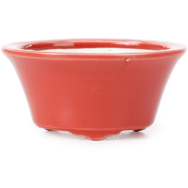 Maceta de bonsái roja redonda de Seifu - 70 x 70 x 35 mm