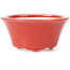 Vaso bonsai rotondo rosso di Seifu - 70 x 70 x 35 mm
