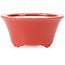 Vaso bonsai rotondo rosso di Seifu - 70 x 70 x 35 mm