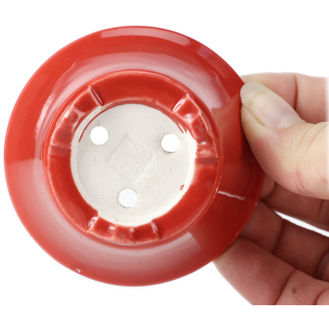 Maceta de bonsái roja redonda de Seifu - 70 x 70 x 35 mm