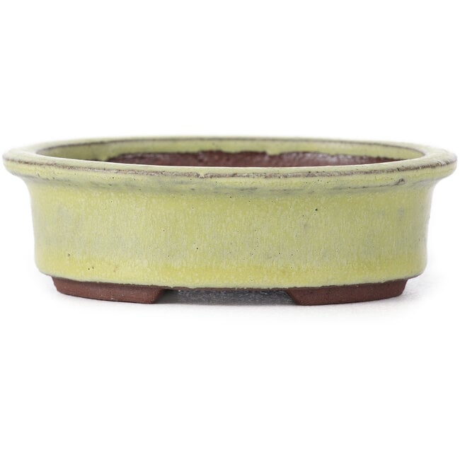 Oval yellow bonsai pot by Eime Yozan - 95 x 80 x 30 mm