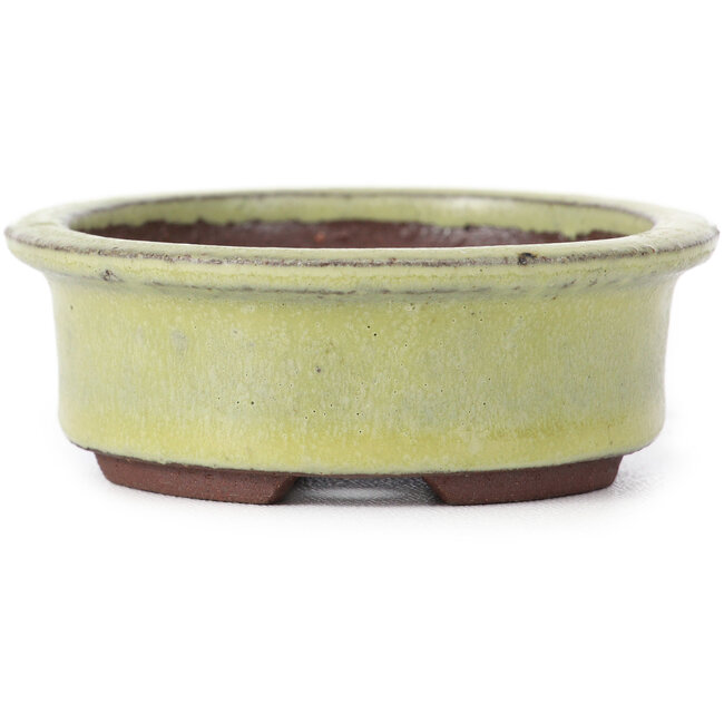 Oval yellow bonsai pot by Eime Yozan - 95 x 80 x 30 mm