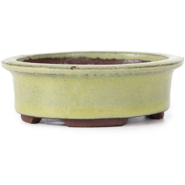 Oval yellow bonsai pot by Eime Yozan - 95 x 80 x 30 mm