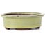 Oval yellow bonsai pot by Eime Yozan - 95 x 80 x 30 mm