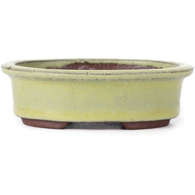 Vaso bonsai giallo ovale di Eime Yozan - 95 x 80 x 30 mm