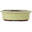 Oval yellow bonsai pot by Eime Yozan - 95 x 80 x 30 mm