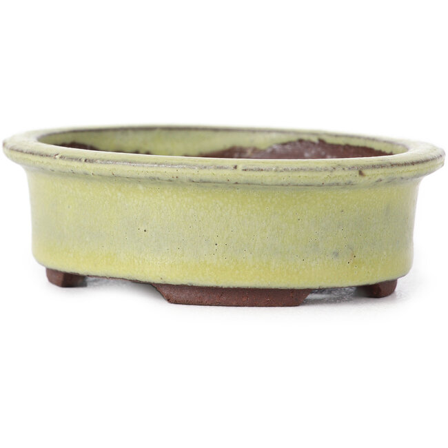 Ovale gelbe Bonsaischale von Eime Yozan - 95 x 80 x 30 mm
