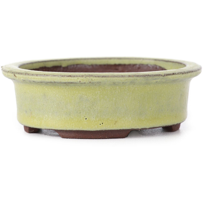 Vaso bonsai giallo ovale di Eime Yozan - 95 x 80 x 30 mm