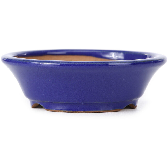 Maceta de bonsái redonda azul de Shibakatsu - 95 x 95 x 30 mm