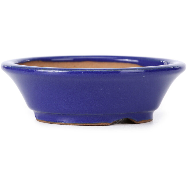 Round blue bonsai pot by Shibakatsu - 95 x 95 x 30 mm