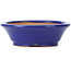 Round blue bonsai pot by Shibakatsu - 95 x 95 x 30 mm