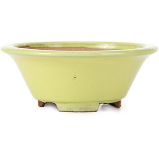  Other Tokoname bonsai pot makers 105 mm round yellow pot from Tokoname, Japan