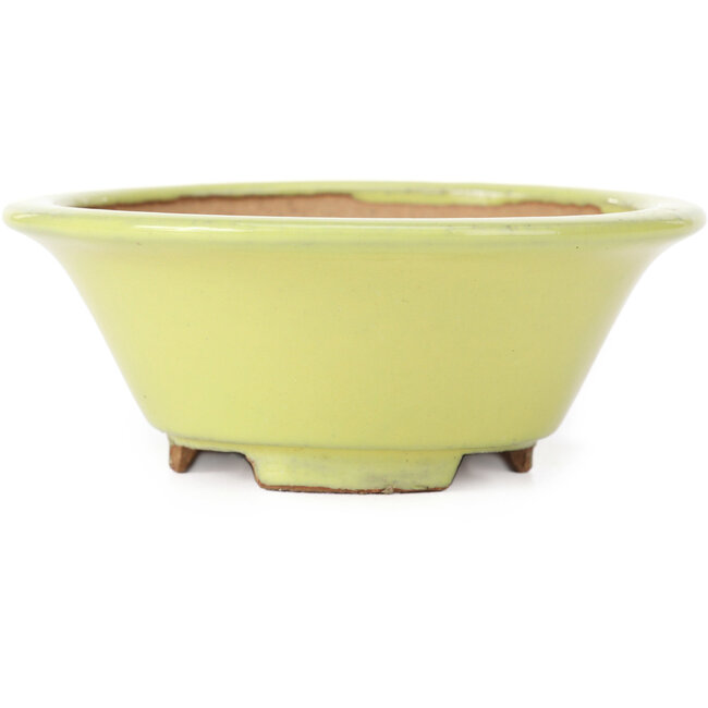 Maceta de bonsái amarilla redonda - 105 x 105 x 40 mm