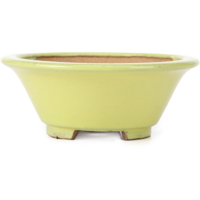 Vaso per bonsai rotondo giallo - 105 x 105 x 40 mm
