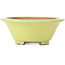 Pot à bonsaï rond jaune - 105 x 105 x 40 mm