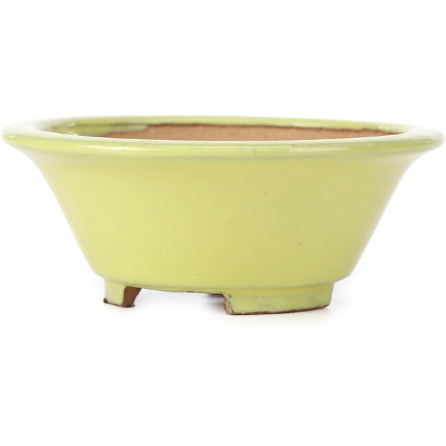 Ronde gele bonsaipot - 105 x 105 x 40 mm