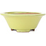 Round yellow bonsai pot - 105 x 105 x 40 mm