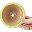 Round yellow bonsai pot - 105 x 105 x 40 mm