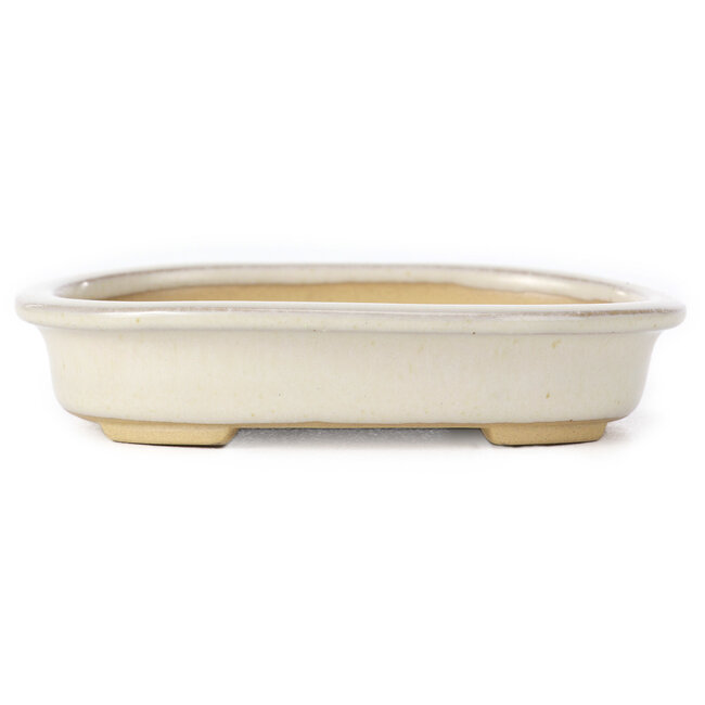 Oval beige bonsai pot by Yamaaki - 105 x 80 x 25 mm