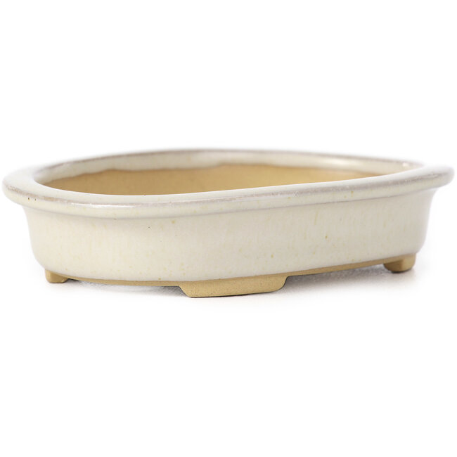 Pot à bonsaï ovale beige par Yamaaki - 105 x 80 x 25 mm