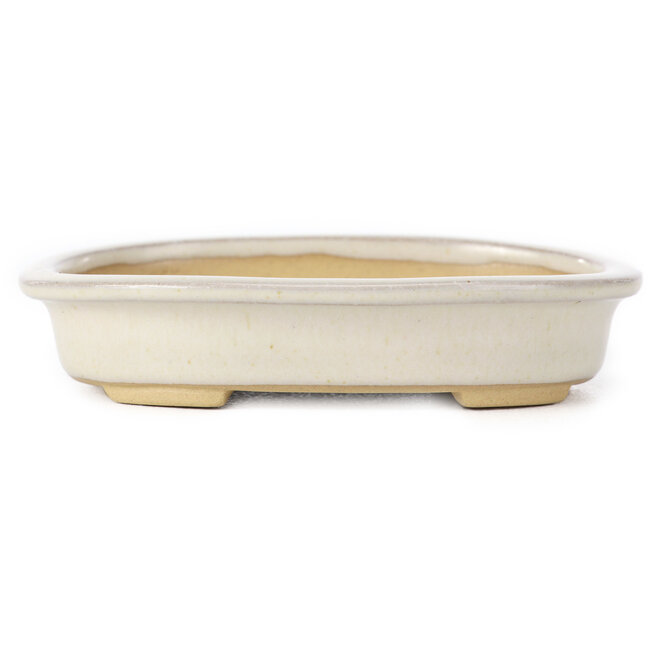 Maceta de bonsái beige ovalada de Yamaaki - 105 x 80 x 25 mm