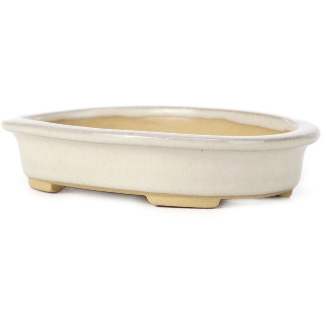 Maceta de bonsái beige ovalada de Yamaaki - 105 x 80 x 25 mm