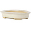 Oval beige bonsai pot by Yamaaki - 105 x 80 x 25 mm