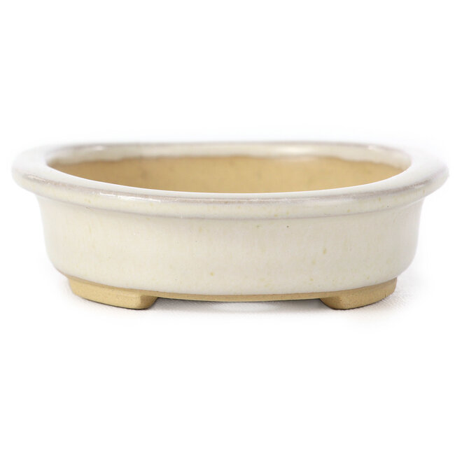 Maceta de bonsái beige ovalada de Yamaaki - 105 x 80 x 25 mm