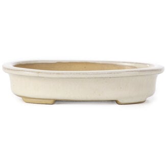 105 mm oval beige bonsai pot by Yamaaki, Tokoname, Japan