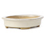 Maceta de bonsái beige ovalada de Yamaaki - 105 x 80 x 25 mm