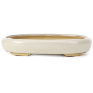 105 mm oval beige bonsai pot by Yamaaki, Tokoname, Japan