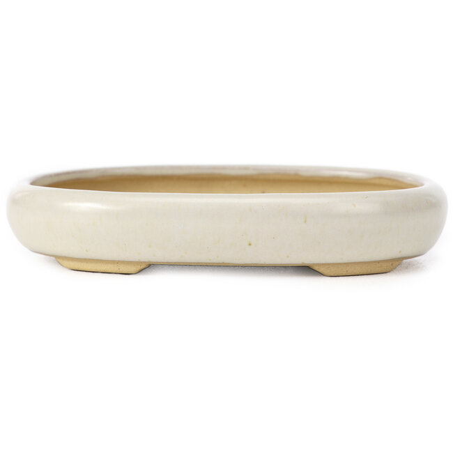 Oval beige bonsai pot by Yamaaki - 105 x 80 x 25 mm