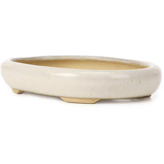 Oval beige bonsai pot by Yamaaki - 105 x 80 x 25 mm