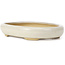 Pot à bonsaï ovale beige par Yamaaki - 105 x 80 x 25 mm