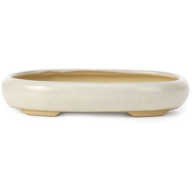 Maceta de bonsái beige ovalada de Yamaaki - 105 x 80 x 25 mm