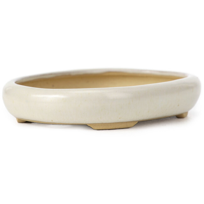 Pot à bonsaï ovale beige par Yamaaki - 105 x 80 x 25 mm