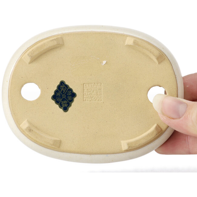 Pot à bonsaï ovale beige par Yamaaki - 105 x 80 x 25 mm