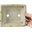 Pot à bonsaï rectangulaire beige par Terahata Satomi Mazan - 160 x 135 x 65 mm