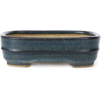 Reihou (Bonsai Matsushita Hiroyuki or Mr.MATSUSHITA Reiji    Master) 145 mm rectangular blue bonsai pot by Reiho, Tokoname, Japan