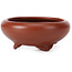 Pot à bonsaï rond non émaillé par Bigei - 65 x 65 x 25 mm