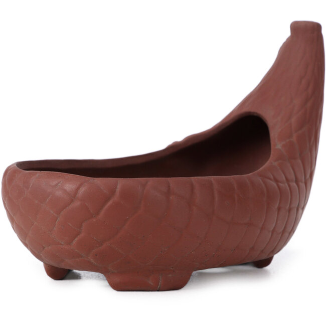 Vaso bonsai ovale non smaltato di Bigei - 160 x 105 x 110 mm