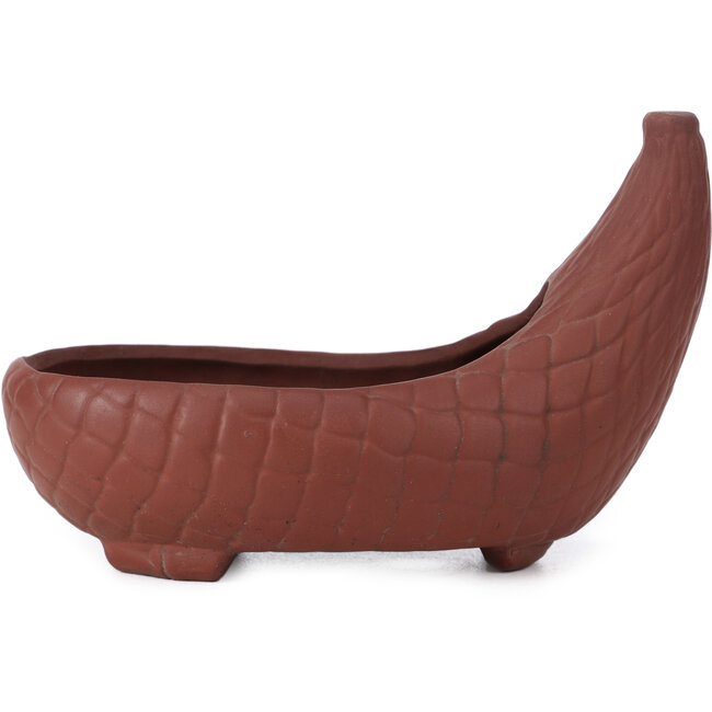 Pot à bonsaï ovale non émaillé par Bigei - 160 x 105 x 110 mm