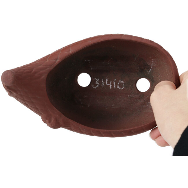 Pot à bonsaï ovale non émaillé par Bigei - 160 x 105 x 110 mm