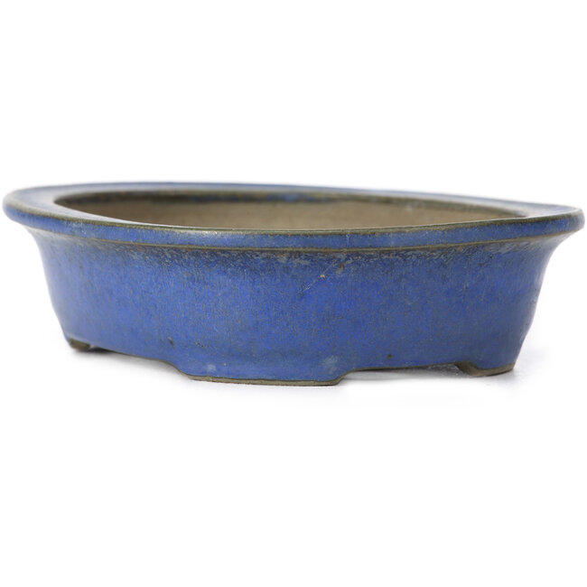 Maceta de bonsái azul ovalada de Ikkou - 125 x 105 x 30 mm